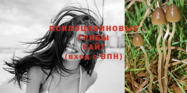 марихуана Куйбышев