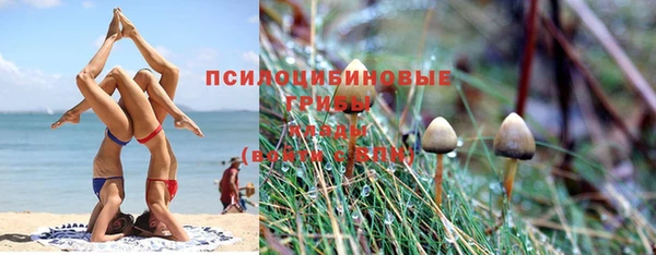 а пвп мука Кулебаки